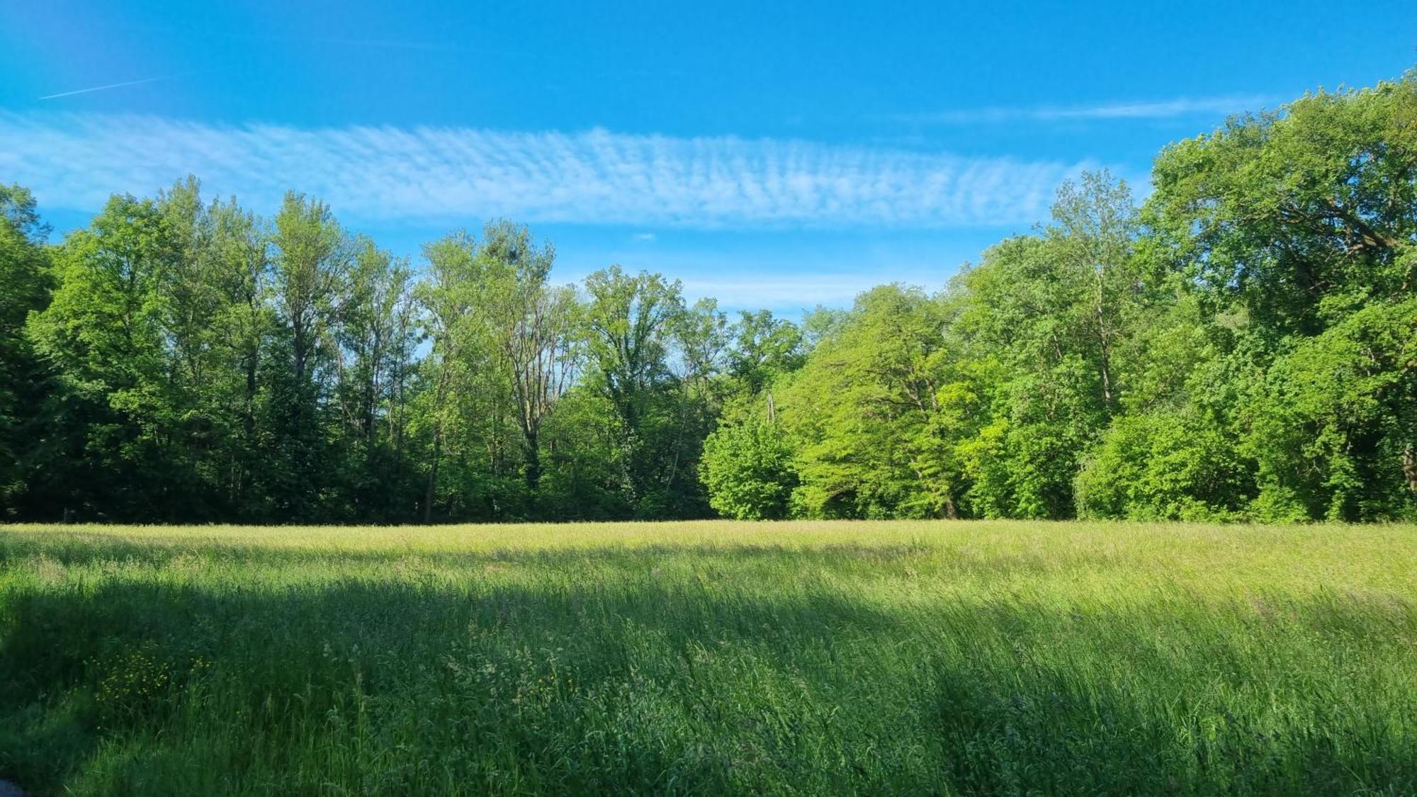 Ferienwohnung Erbachstrasse Waiblingen  Bagian luar foto